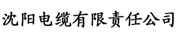 大香蕉在线涩电缆厂logo